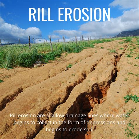 Soil stores about 0. . 10 facts about erosion